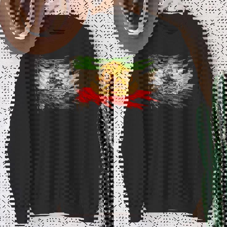 ライオンと太陽のエンブレムが付いたイランの国旗、ヴィンテージペルシャ遺産。 スウェットシャツ 年配の女性への贈り物