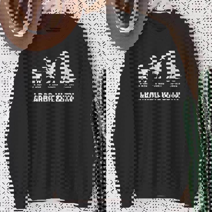 ラブラドールレトリバー エボリューションデザイン ラブラドールオーナー向け 長袖tシャツ スウェットシャツ 年配の女性への贈り物