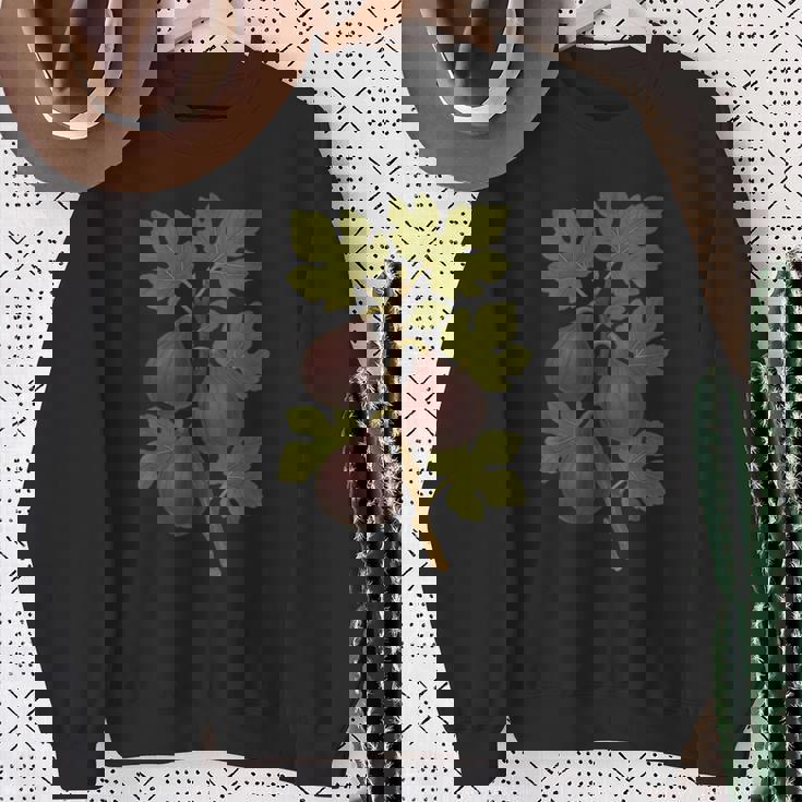 ヴィンテージ ボタニカル イチジク 自然 フルーツ アートプリント スウェットシャツ 年配の女性への贈り物