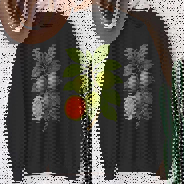 ヴィンテージ ボタニカル グアバ 自然 フルーツ アートプリント スウェットシャツ 年配の女性への贈り物