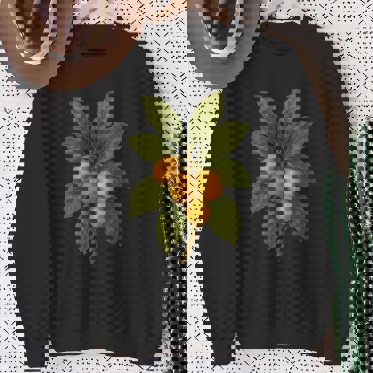 ヴィンテージ ボタニカル ビワ 自然 フルーツ アートプリント スウェットシャツ 年配の女性への贈り物