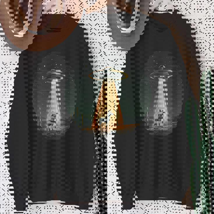 宇宙宇宙人のためにufoに誘拐された宇宙好きのロバ スウェットシャツ 年配の女性への贈り物