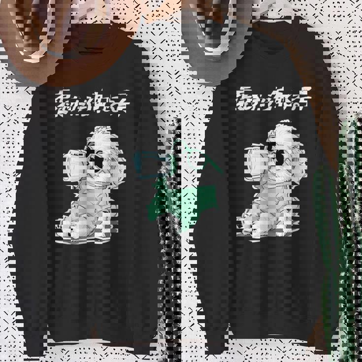 褒めたら伸びる子 マルチーズ グッズ 犬 おもしろ 面白い ネタ 笑える かわいい スウェットシャツ 年配の女性への贈り物