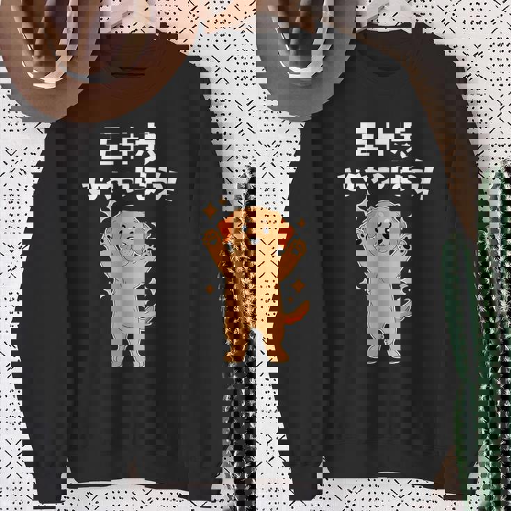 面白いtシャツ ゴールデンレトリバー メンズ 犬好き グッズ かわいい おもしろ 面白い 服 ネタ 子供用 スウェットシャツ 年配の女性への贈り物