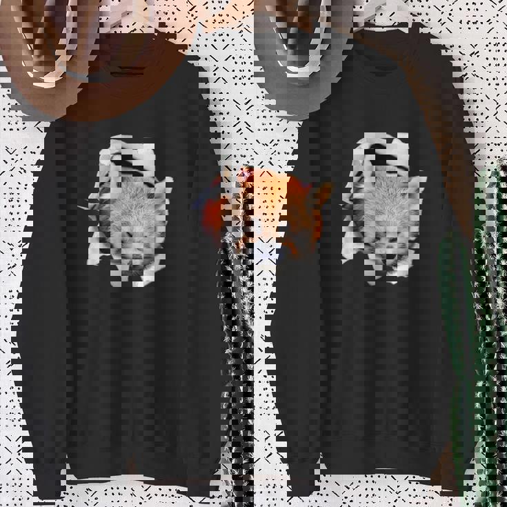 面白いtシャツ レッサーパンダ メンズ 動物 グッズ かわいい 面白い 服 ネタ スウェットシャツ 年配の女性への贈り物