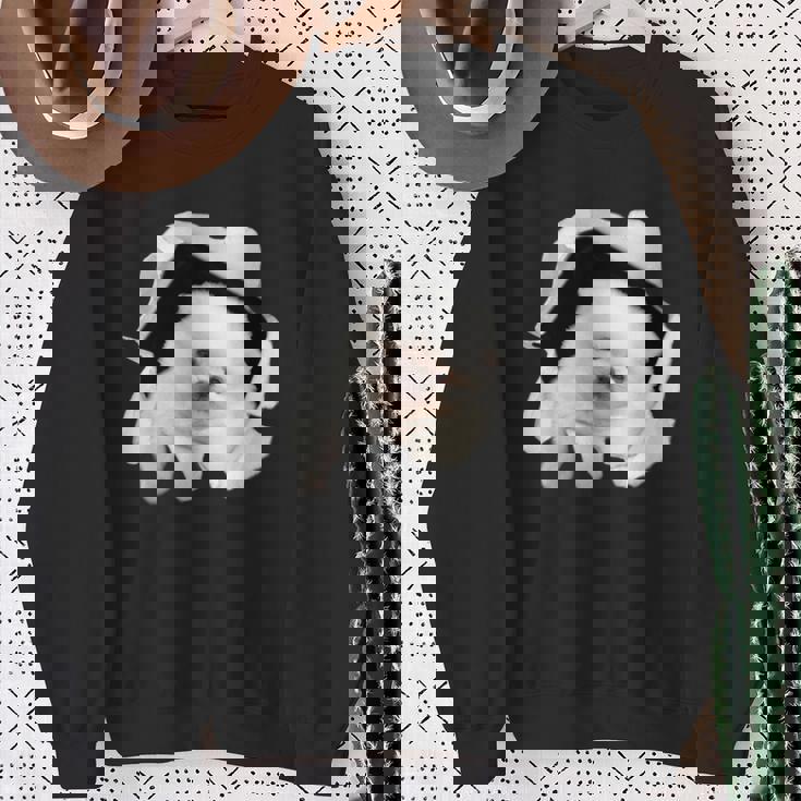 面白いtシャツ 犬 ポメラニアン イヌ わんこ メンズ 犬好き グッズ かわいい おもしろ 面白い 服 ネタ スウェットシャツ 年配の女性への贈り物