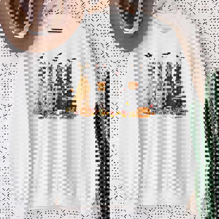 Cute Great Dane Dogs Ghost Witch Mummy Halloween Pumpkins Sweatshirt Gifts for Old Women