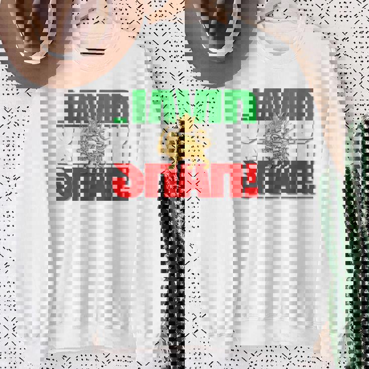 Javidhah イラン国旗 ペルシャパフラヴィー ライオンと太陽 スウェットシャツ 年配の女性への贈り物