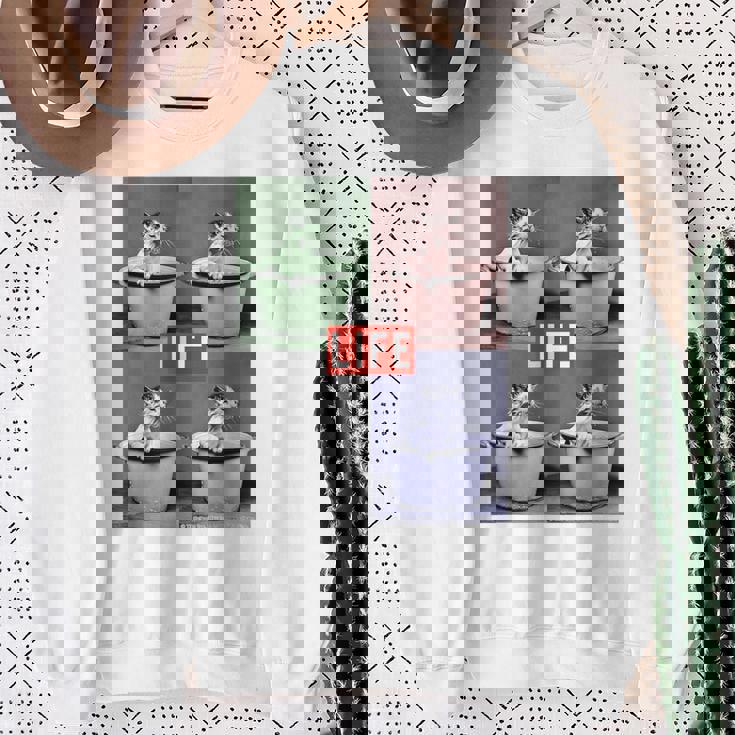 Life Picture Collection 猫（1） スウェットシャツ 年配の女性への贈り物