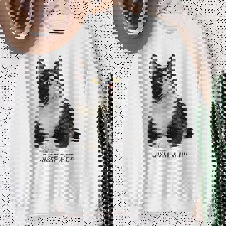 Mischief In Fur 猫写真 ハチワレ猫 黒白猫 猫好き ネタ 猫しもべ 猫飼い 猫依存症 長袖tシャツ スウェットシャツ 年配の女性への贈り物