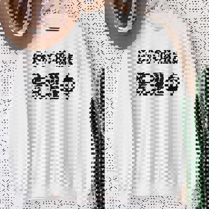 「ほかの服は洗濯中」面白い 筆文字 ユーモア満点 背面に文字入りデザイン おもしろプリント スウェットシャツ 年配の女性への贈り物