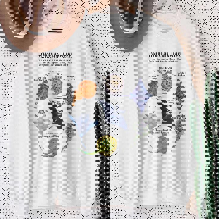 アカエイ種 スウェットシャツ 年配の女性への贈り物