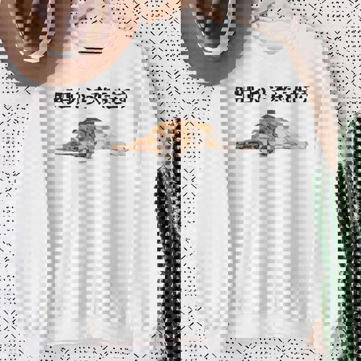 明日から本気出す ・ビーグルス ビーグル犬 面白い ビーグル愛好家に ビーグルののんびりデザイン スウェットシャツ 年配の女性への贈り物