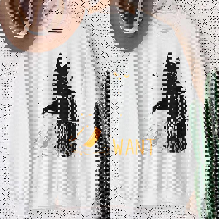 私は何をしたい黒猫カップ面白いグラフィック猫愛好家 スウェットシャツ 年配の女性への贈り物