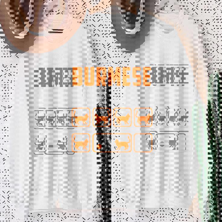 頑固なビルマの猫 トリックおもしろ子猫愛好家 スウェットシャツ 年配の女性への贈り物