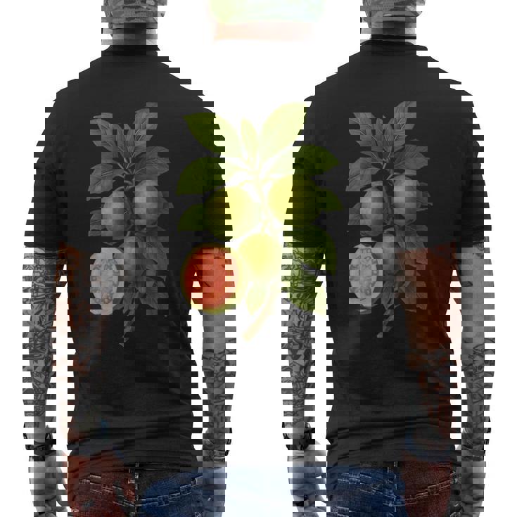 ヴィンテージ ボタニカル グアバ 自然 フルーツ アートプリント メンズTシャツ バックプリント