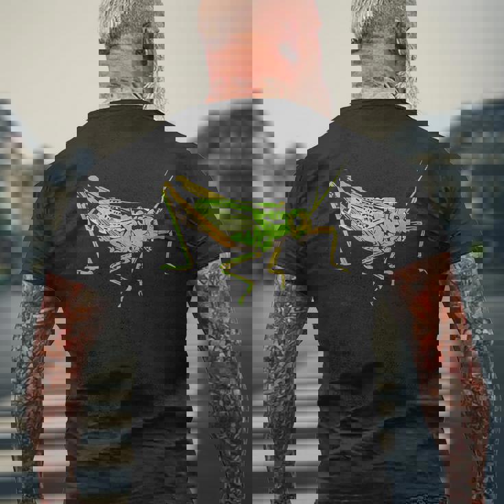 キリギリス アート デザイン イラスト イナゴ キリギリス メンズTシャツ バックプリント 高齢者への贈り物