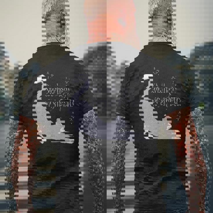 ストレッチは大事！ 猫 ネコ 愛猫 伸び 柔軟 ハチワレ 靴下猫 シンプル かわいい 癒やし メンズ レディース キッズ メンズTシャツ バックプリント 高齢者への贈り物