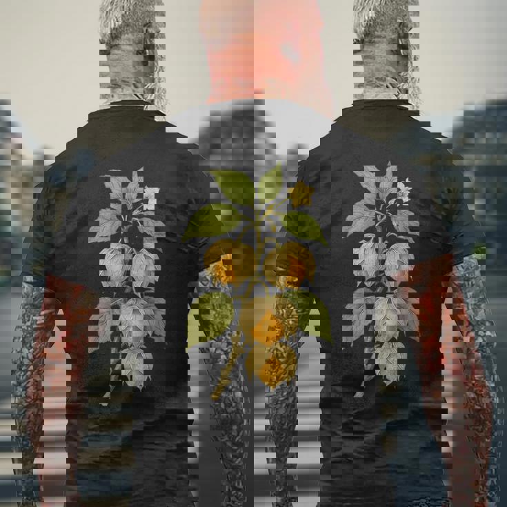 ヴィンテージ ボタニカル サイサリス 自然 フルーツ アートプリント メンズTシャツ バックプリント 高齢者への贈り物