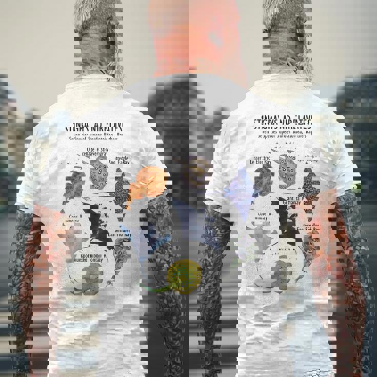 アカエイ種 メンズTシャツ バックプリント 高齢者への贈り物