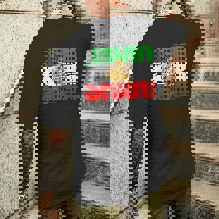 Javidhah イラン国旗 ペルシャパフラヴィー ライオンと太陽 長袖tシャツ メンズTシャツ バックプリント 彼への贈り物