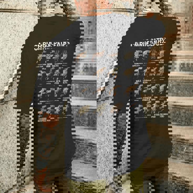 カンブリア紀の生き物チャート先史時代の生活古生物学 メンズTシャツ バックプリント 彼への贈り物