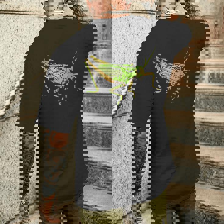 キリギリス アート デザイン イラスト イナゴ キリギリス メンズTシャツ バックプリント 彼への贈り物