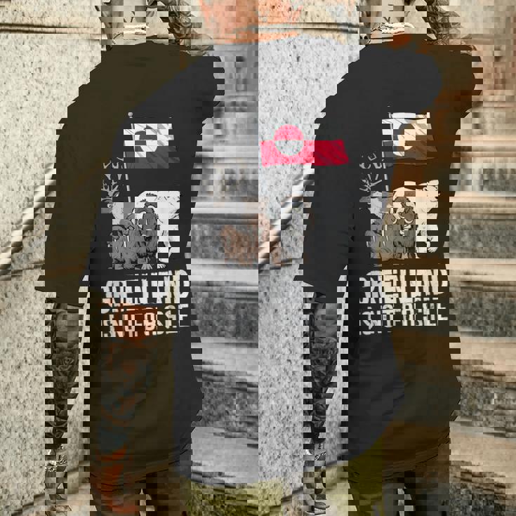 グリーンランド 非売品 グリーンランド 国旗 動物 グリーンランダー メンズTシャツ バックプリント 彼への贈り物