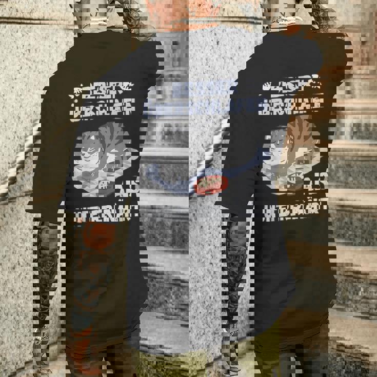 スリープシャツ猫、面白い、ドイツ語で メンズTシャツ バックプリント 彼への贈り物