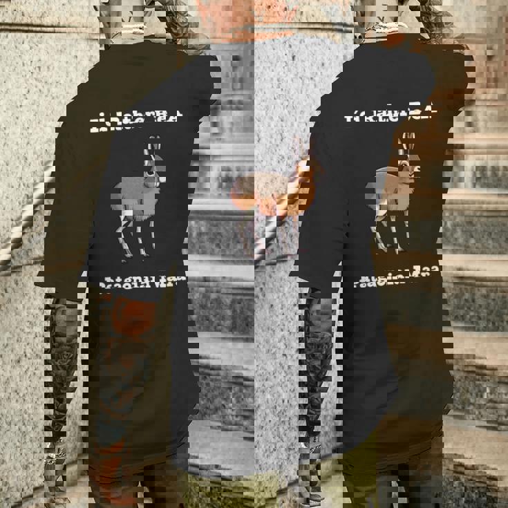 パタゴニア・マラ 長袖tシャツ メンズTシャツ バックプリント 彼への贈り物