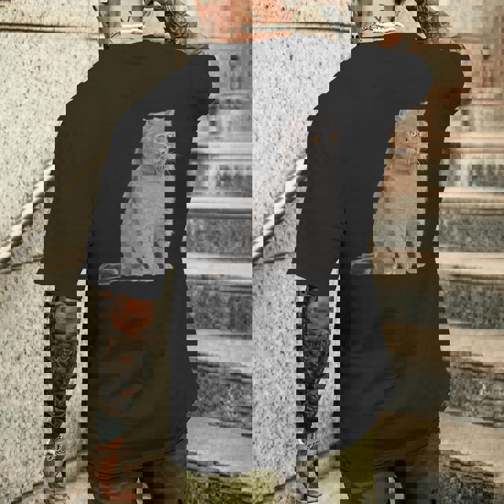 ブリティッシュショートヘアの猫 長袖tシャツ メンズTシャツ バックプリント 彼への贈り物