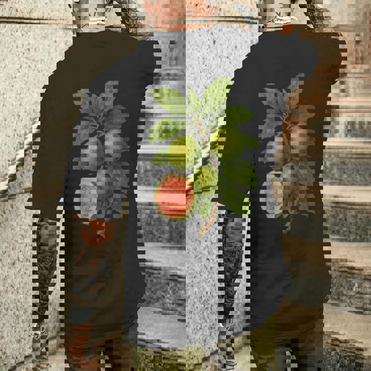 ヴィンテージ ボタニカル グアバ 自然 フルーツ アートプリント メンズTシャツ バックプリント 彼への贈り物