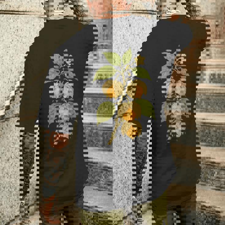 ヴィンテージ ボタニカル サイサリス 自然 フルーツ アートプリント メンズTシャツ バックプリント 彼への贈り物