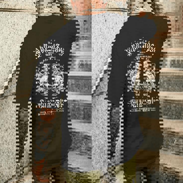 沖縄 日本 お土産 シーサーライオンズ 琉球諸島 和 長袖tシャツ メンズTシャツ バックプリント 彼への贈り物