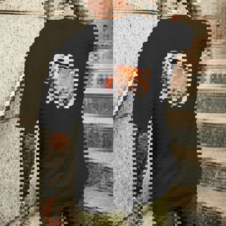 面白いtシャツ レッサーパンダ メンズ 動物 グッズ かわいい 面白い 服 ネタ メンズTシャツ バックプリント 彼への贈り物