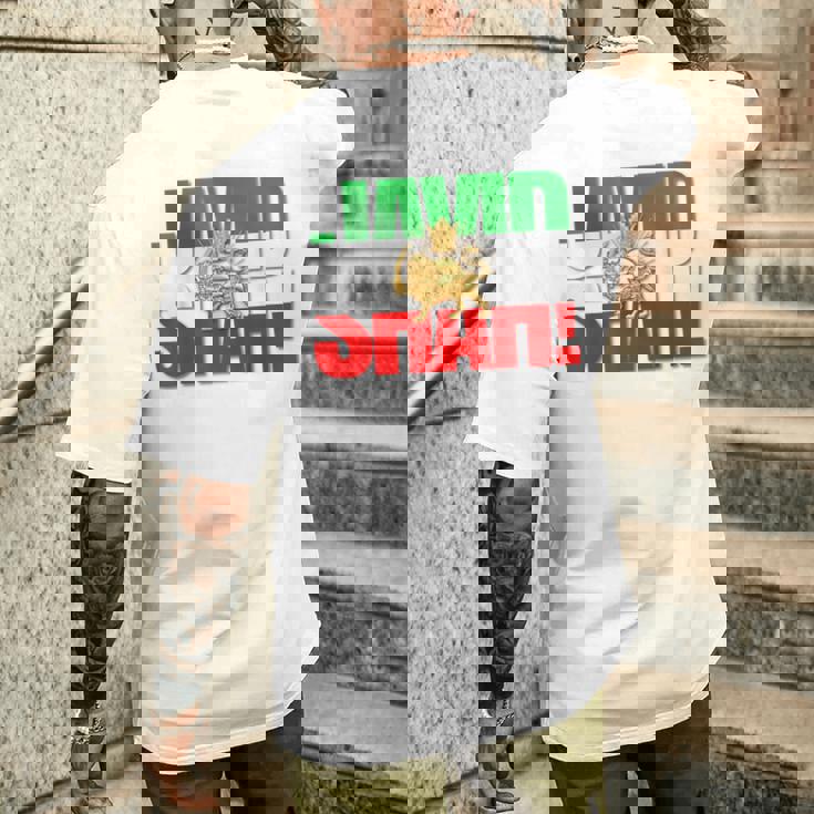 Javidhah イラン国旗 ペルシャパフラヴィー ライオンと太陽 メンズTシャツ バックプリント 彼への贈り物