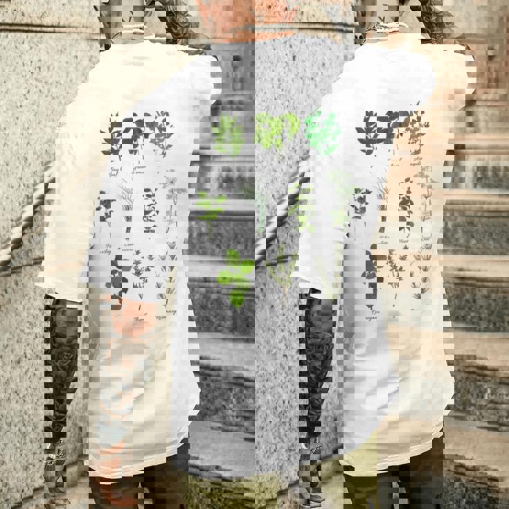 ヴィンテージボタニカルハーブ ハーブコレクション ハーバリスト メンズTシャツ バックプリント 彼への贈り物