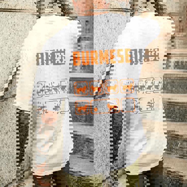 頑固なビルマの猫 トリックおもしろ子猫愛好家 メンズTシャツ バックプリント 彼への贈り物