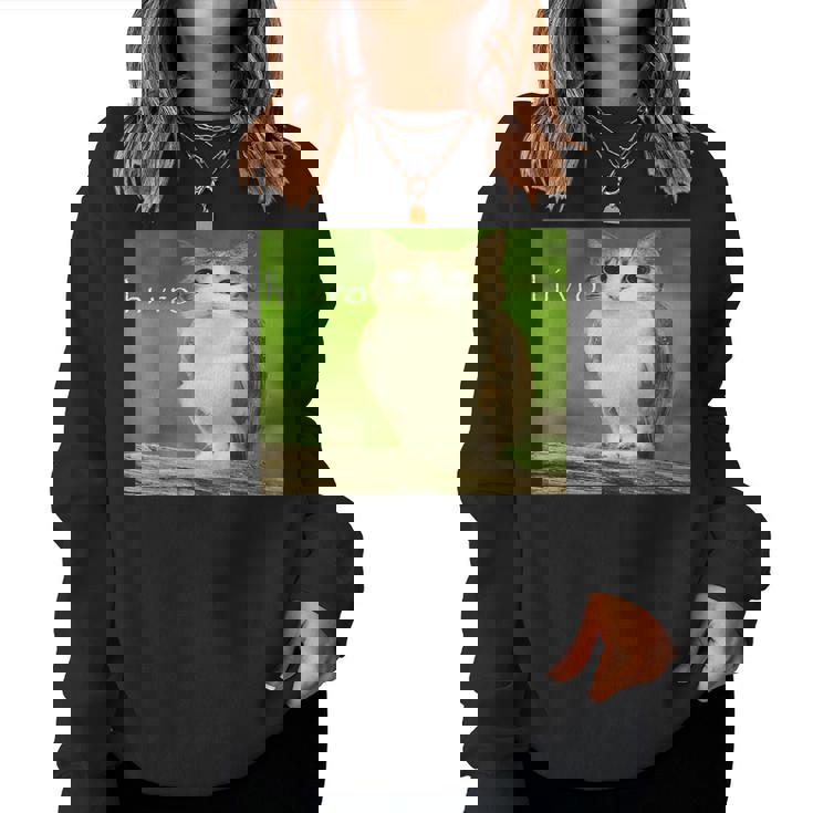 猫 フクロウ 面白い 呪われた Hello Bro Brainrot Meowl Hiro Meme レディーススウェットシャツ