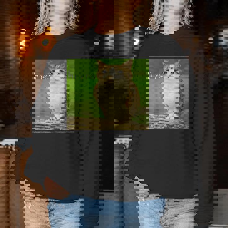 猫 フクロウ 面白い 呪われた Hello Bro Brainrot Meowl Hiro Meme レディーススウェットシャツ 面白い贈り物