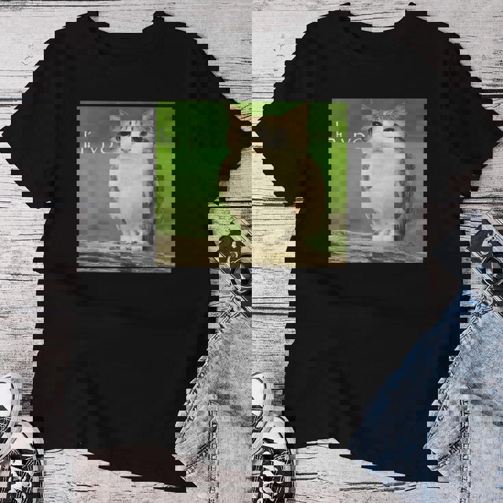 猫 フクロウ 面白い 呪われた Hello Bro Brainrot Meowl Hiro Meme レディースTシャツ 面白い贈り物