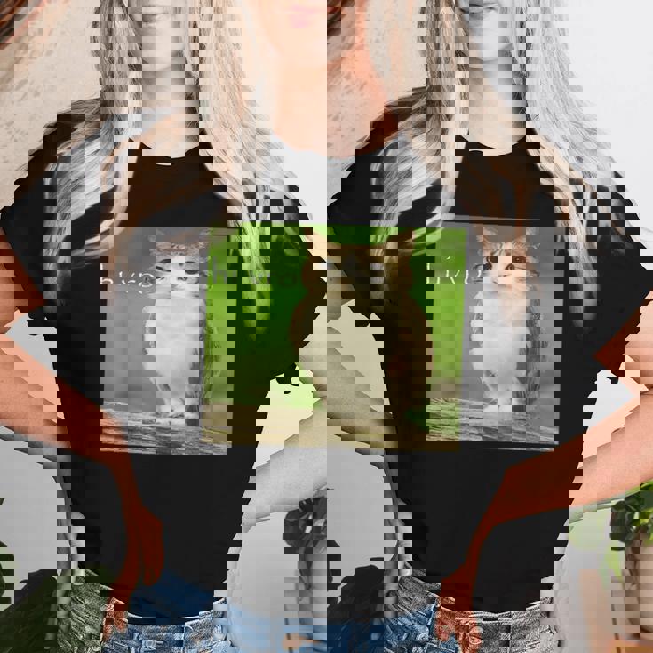 猫 フクロウ 面白い 呪われた Hello Bro Brainrot Meowl Hiro Meme レディースTシャツ 彼女への贈り物