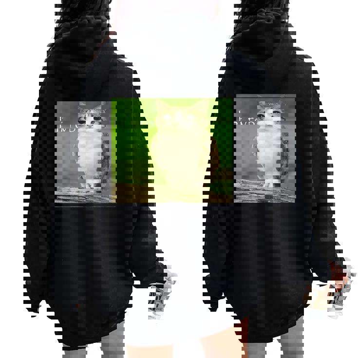 猫 フクロウ 面白い 呪われた Hello Bro Brainrot Meowl Hiro Meme レディース オーバーサイズ パーカー バックプリント