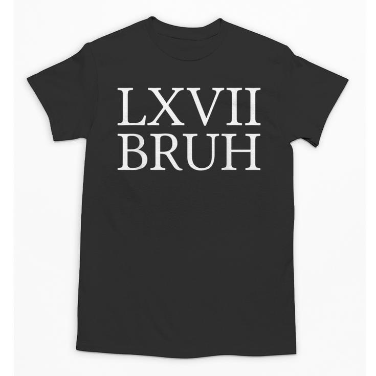67 History Meme Six Seven Bruh History Teacher Unisex T-Shirt