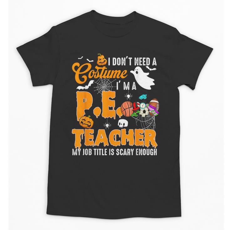 I Don't Need a Costume I'm A PE Teacher Halloween Costume Unisex T-Shirt
