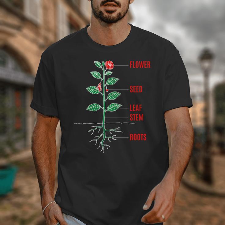 Parts Of a Plant Science For Teachers Kids And Students Unisex T-Shirt, Science Teacher Gifts, funny design