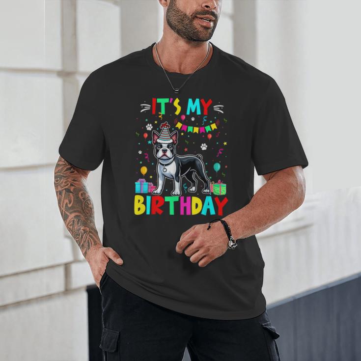 My Birthday Colorful Costume Boston Terrier Party Unisex T-Shirt, novelty gifts, funny gifts