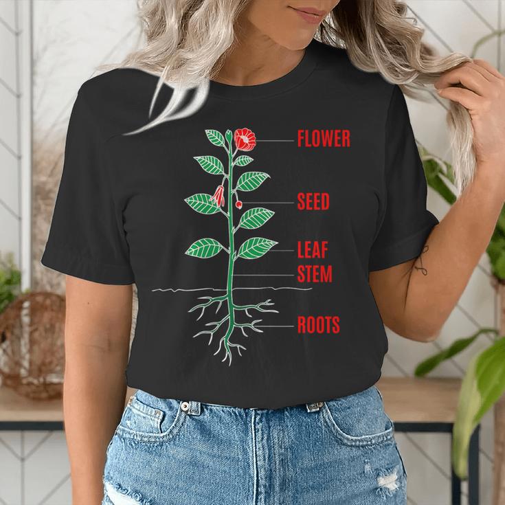 Parts Of a Plant Science For Teachers Kids And Students Women's T-Shirt, Science Teacher Shirts, funny gift Parts Of a Plant Science For Teachers Kids And Students Women's T-Shirt, Science Teacher Shirts, funny gift