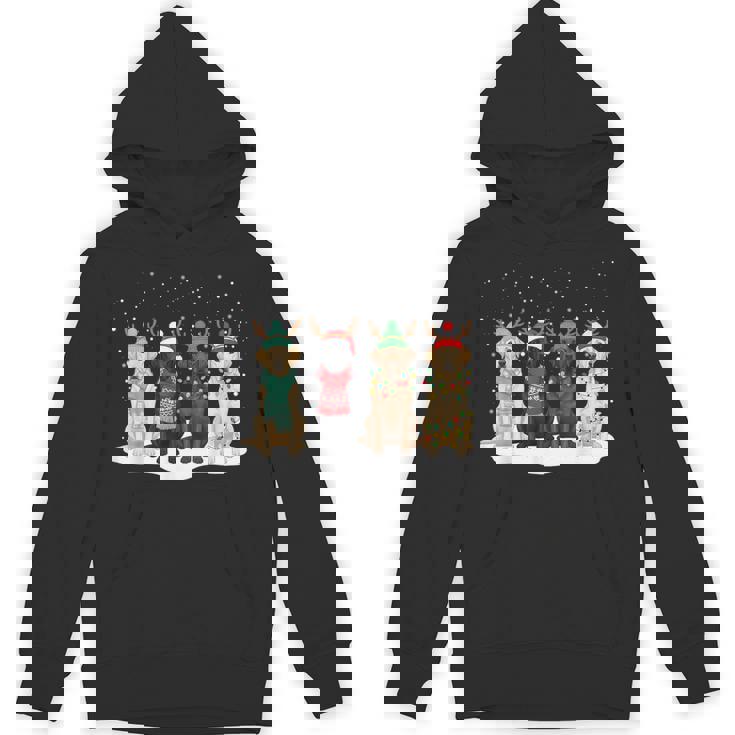 Black Lab Labrador Dog Christmas Crew Matching Family Xmas Hoodie