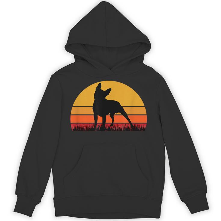 Boston Terrier Bostie Sunset Retro Dog Pet Mom Dad Unisex Hoodie